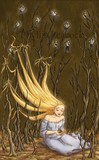 by Phyllis Peacock