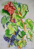 by David Gharibashvili