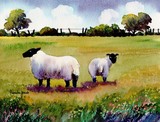 by pamela jones