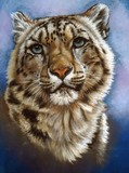 by Barbara Keith