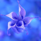 by Barbara Stock