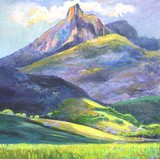 by virginia mcgowan