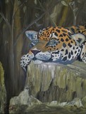 by Donald Schrier