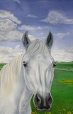 by Erlinde Ufkes Stephanus