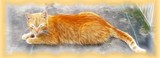 by Bonnie Gearhart