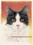 by Cheri Beckman