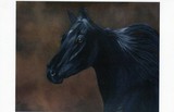 by diane deason