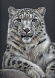 by nicole zeug