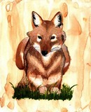by Kachina Moonhowler