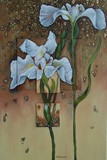 by C. Wilkinson