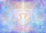 by Daniel B. Holeman