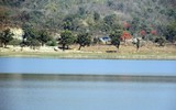by Sourav RC