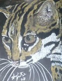 by wendy  zantinge