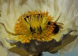 by Deborah Ormsby