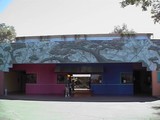 by dv8 murals 