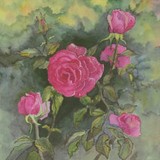 by Carol Thompson