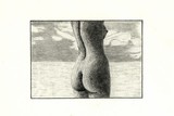 by MABEL CAPPELLA