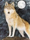 by tracy rice