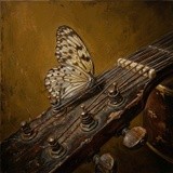 by HERBERT RENARD