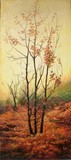 by Sorin Apostolescu