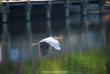 by Marge Loyd