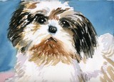 by Nancy Melton