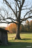 by CM  Sackett