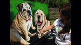 by Jayna Simpson
