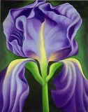 by Schuyler Rideout