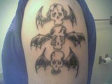 by Tyler Cook