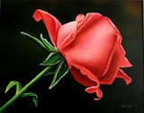 by John Salozzo