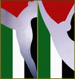by Ibrahim Shalabi