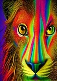 by graham rhodes