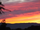 by Jim & Darlene Stewart