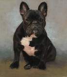 by Tracy Ference, PSA, MC-IAPS