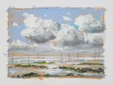 by wim van de wege