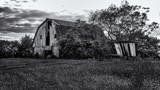 by michael  farnham