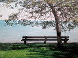 by Connie Roman-Logelin
