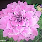 by Catherine Sandell