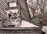 by Raquel Lucius