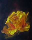 by Cene gál István
