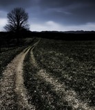 by Steven Pappas
