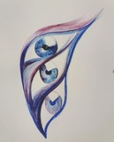 by Shani Ka