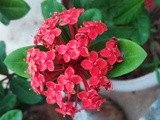 by Sree Ranjitha