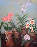 by patricia burley