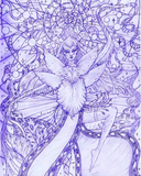 by Antonia Blakeman