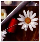 by Pepita Selles