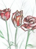 by Rebecca Mackin
