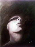 by steve beltrondo