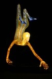 by Sculi Ulrich